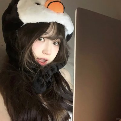 冬鹰